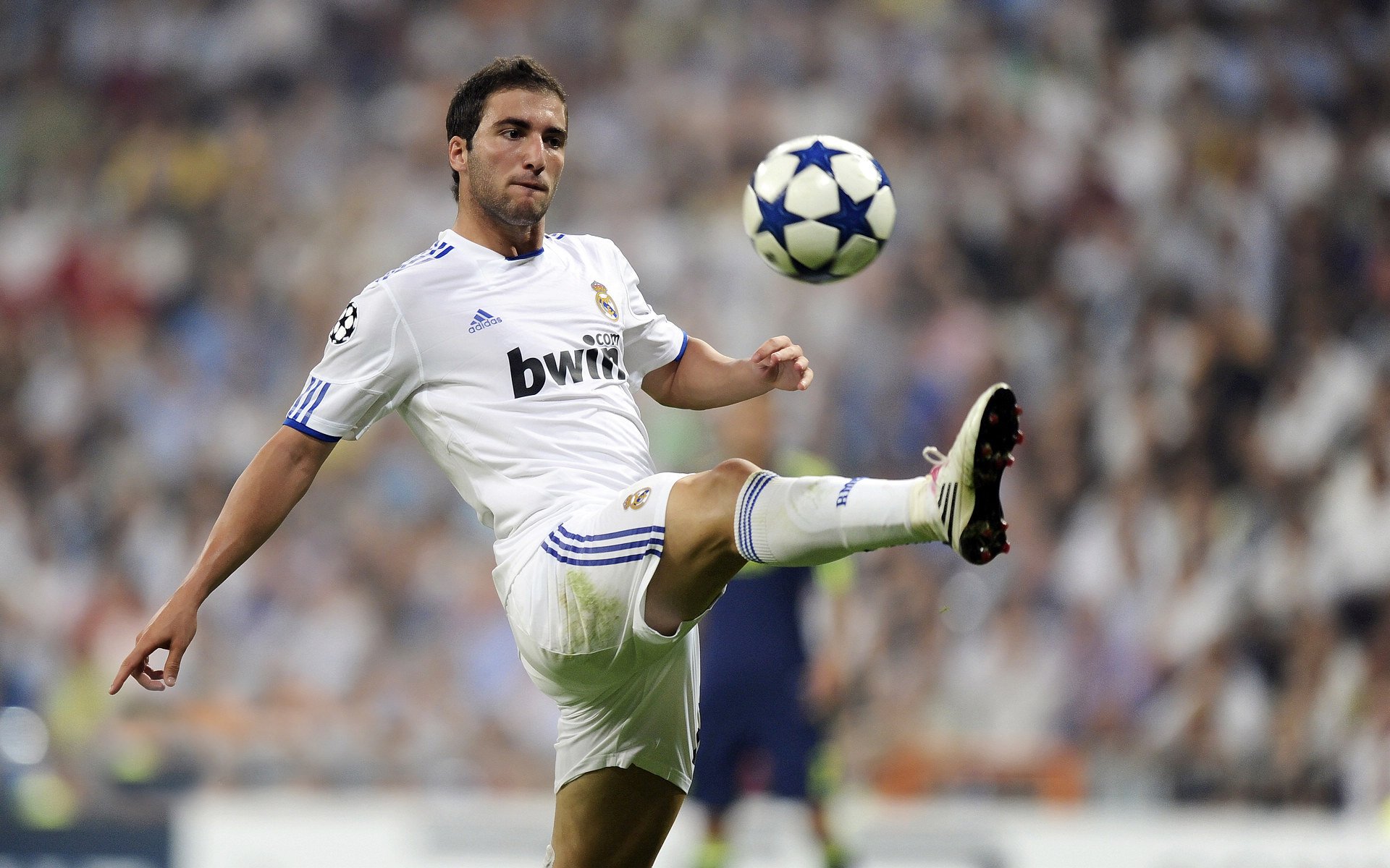 开云网页版-风暴眼哈兰德，当进球成为习惯，整个英超都在颤抖，风暴眼哈兰德！当进球成为习惯，英超在颤抖